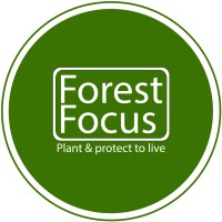 Forest Focus Logo