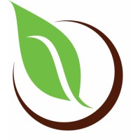 Optimal Wellness Chiropractic Logo