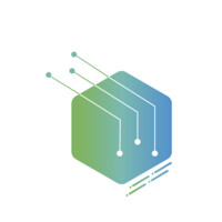 Data Insights Saudi Logo