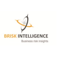 BRISK INTELLIGENCE Logo