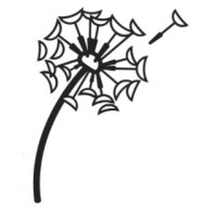 Cook Law, PLLC Logo