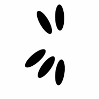 Kwala Logo