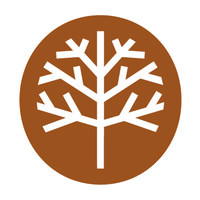 BrainWise Solutions Logo