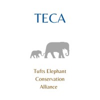 Tufts Elephant Conservation Alliance Logo