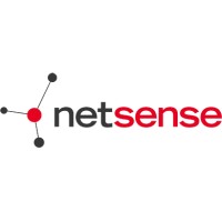 Netsense AS Logo