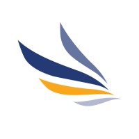 NetStrategies Logo