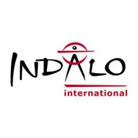 Indalo International Ltd Logo