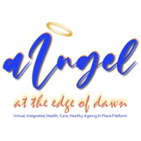 AiNGEL Virtual, Integrated Healthy Ageing, Care Platform Logo
