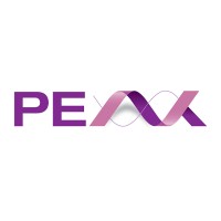 PEAK Logo