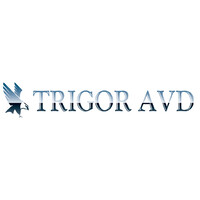 Trigor AVD Logo