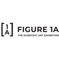 Figure 1.A. The Scientific Art Exhibition Logo