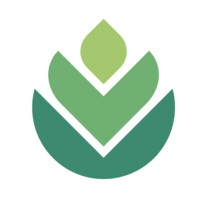 Bonsai, LLC Logo