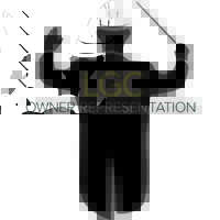 LG Consultants LLC Logo