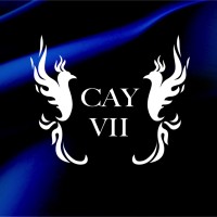 CAY VII INC Logo