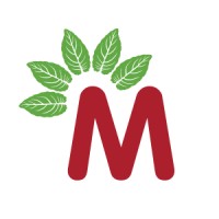 Mullein Pharmacy Logo