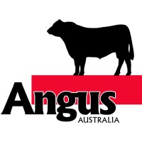 Angus Australia Logo