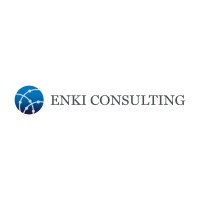 ENKI Consulting, LLC Logo