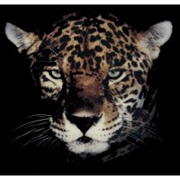 Roadbend Motors Logo