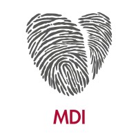 Aluekehittämisen konsulttitoimisto MDI Logo