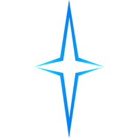 Bright Star Technologies Ltd. Logo