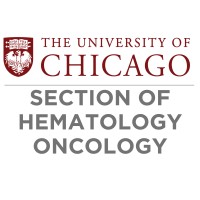 The University of Chicago Section of Hematology/Oncology Logo