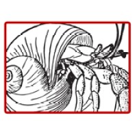 Indoor Entertainment LLC Logo