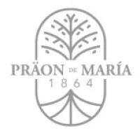 VIÑEDOS PRAÖN DE MARÍA Logo
