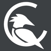 Crow Consulting Logo