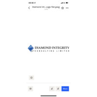 Diamond Integrity Consulting Ltd. Logo