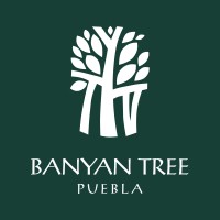 Banyan Tree Puebla Logo