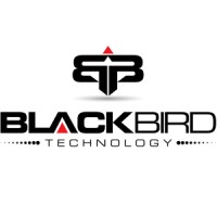 BLACKBIRD Technology Services Logo
