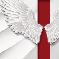 Almighty Wings Productions Logo