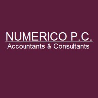 Numerico P.C. Logo