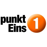 punktEins Organisations GmbH Logo