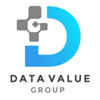 Data Value Group Logo