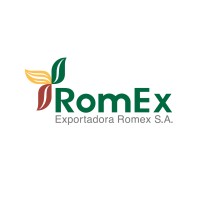 Romex Logo