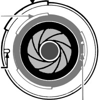 Wide Angle Tasmania Logo