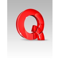 Q Services International Logo
