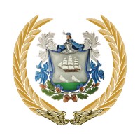 Surmon Aviation Logo