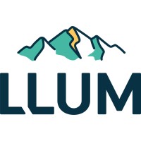 LLUM Logo