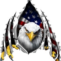 Classic Crane & Transport, LP Logo