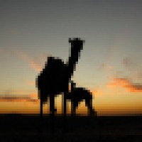 PhotoStock-Israel Logo