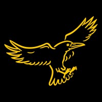 Currawong Engineering Logo