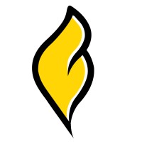 Flex Marketing Logo