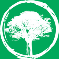 Coill.Earth Logo
