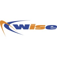 Wise Srl Logo