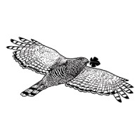 Vinícola Alto do Gavião Logo