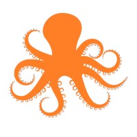 Orange Octopus Coaching Ltd Logo