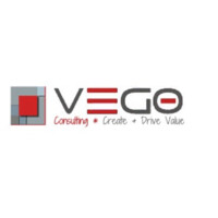 Vego Consulting and Training Company Logo