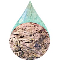 Hamilton & DAmbra Consulting Inc. Logo